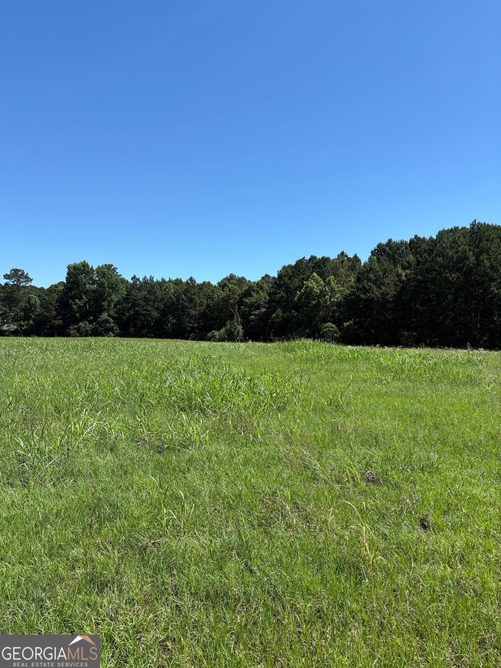 unimproved land for sale at 5.69 M Friedman Drive, Sandersville, GA 31082 — photo 2