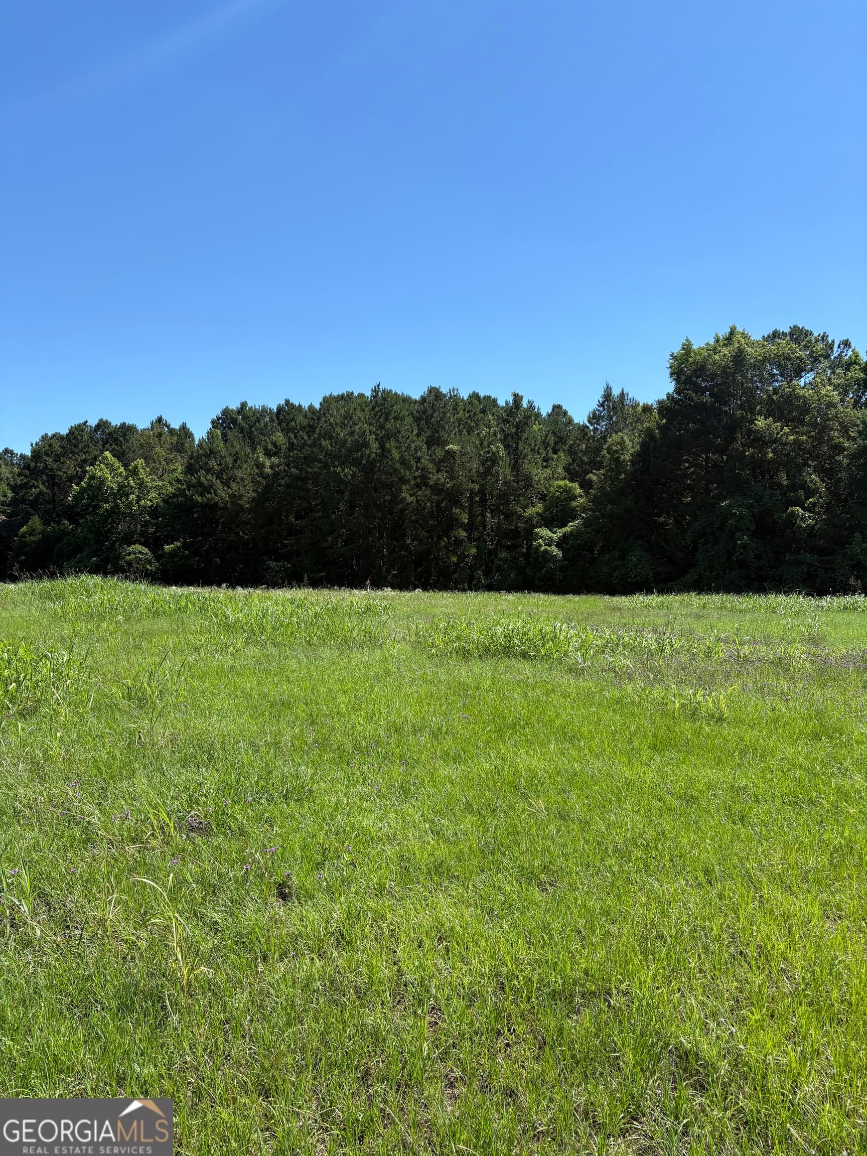 unimproved land for sale at 5.69 M Friedman Drive, Sandersville, GA 31082 — photo 3