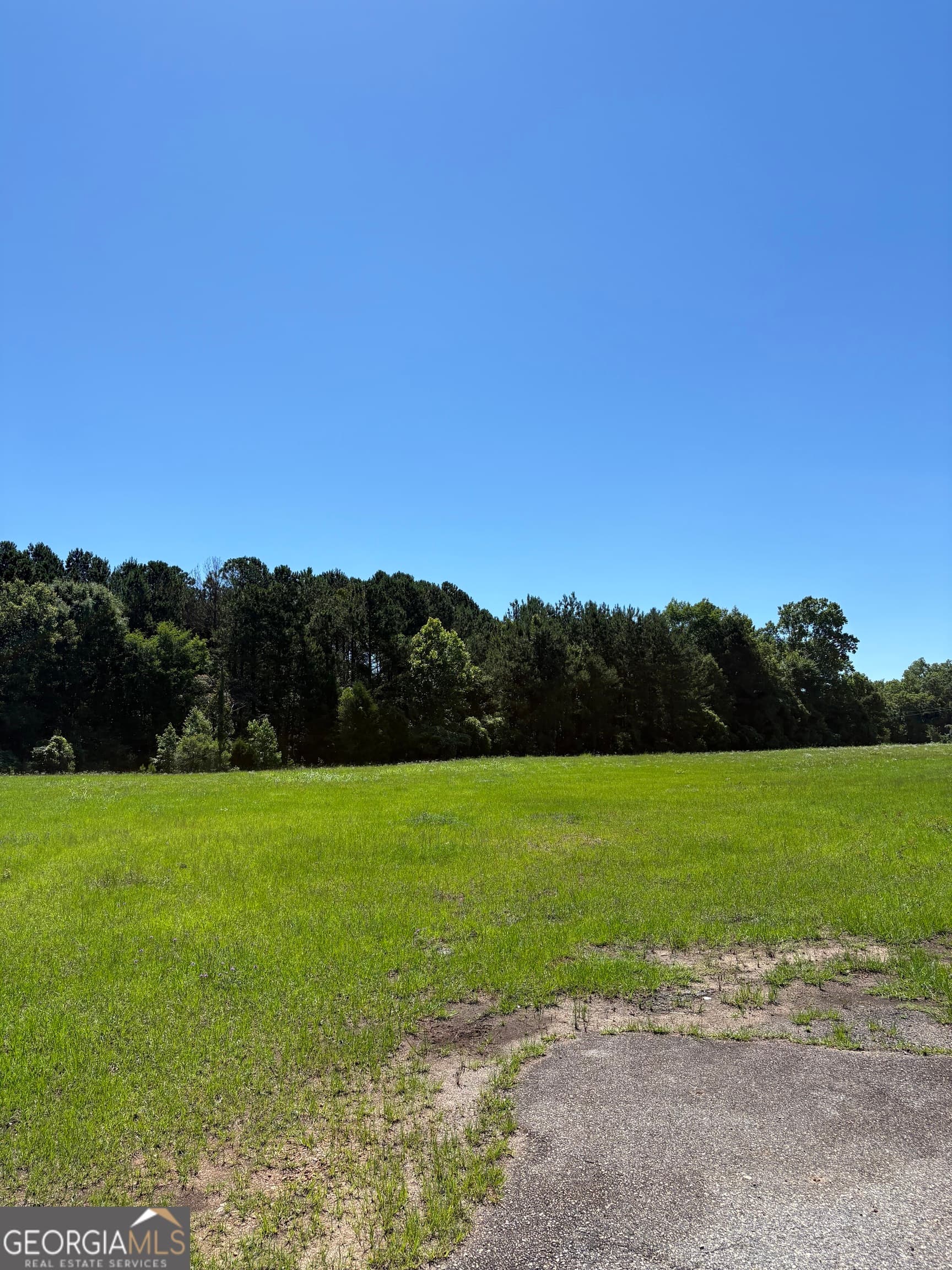 unimproved land for sale at 5.69 M Friedman Drive, Sandersville, GA 31082 — photo 4