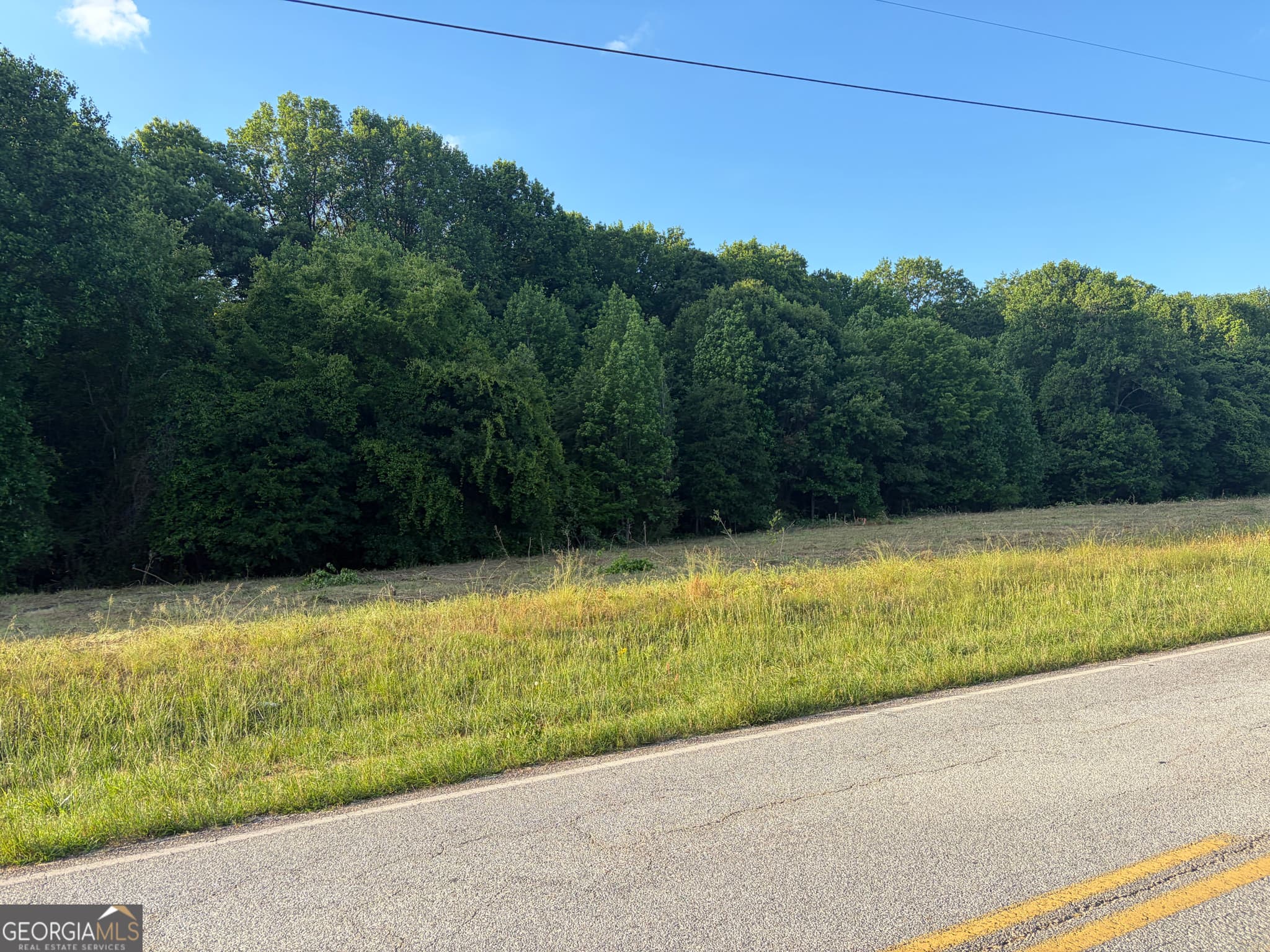 estate lot for sale at LOT 10 Wheeler Lane, Maysville, GA 30558 — photo 6