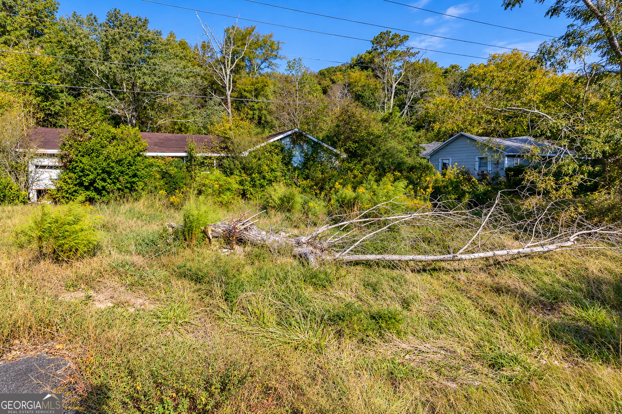 residential lot for sale at 6392 Highway 151, Lafayette, GA 30728 — photo 5