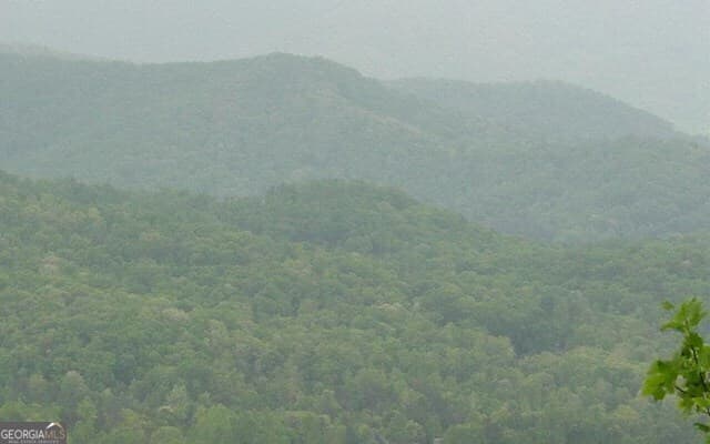 residential lot for sale at #50 Harris Ridge Road, Young Harris, GA 30582 — photo 7