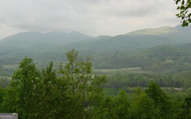 residential lot for sale at #50 Harris Ridge Road, Young Harris, GA 30582 — photo 3