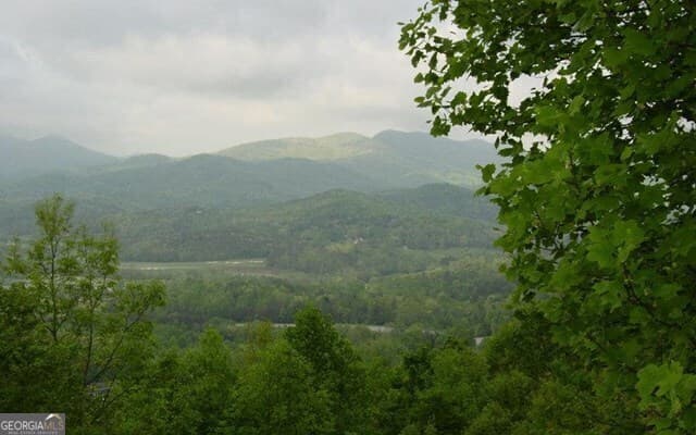 residential lot for sale at #50 Harris Ridge Road, Young Harris, GA 30582 — photo 5