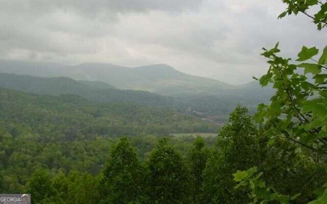 residential lot for sale at #50 Harris Ridge Road, Young Harris, GA 30582 — photo 4