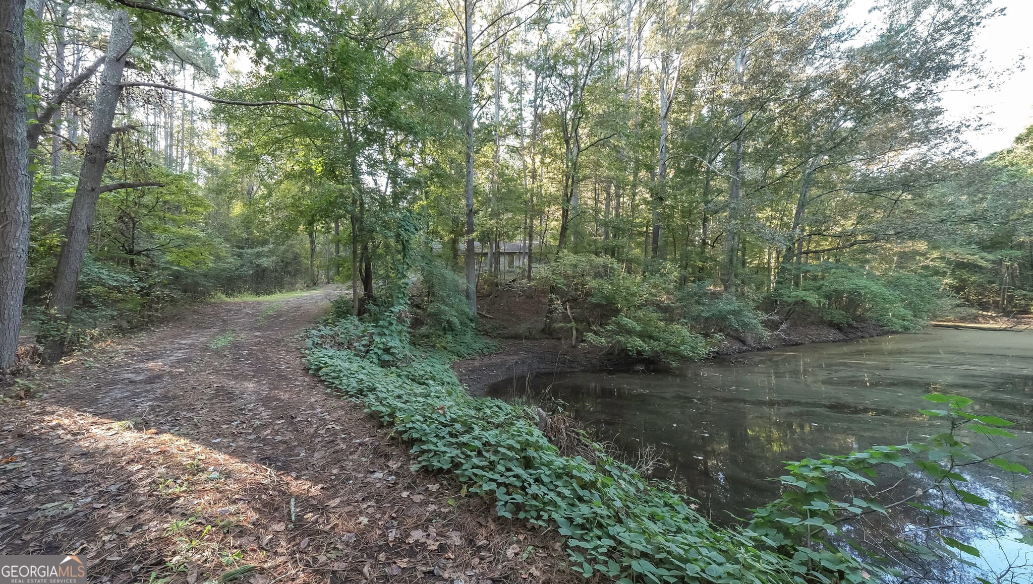 3 bedroom, 1.5 bathroom, 1,680 sq ft single family residence for sale at 14 Daniel Road, Tallapoosa, GA 30176 — photo 8
