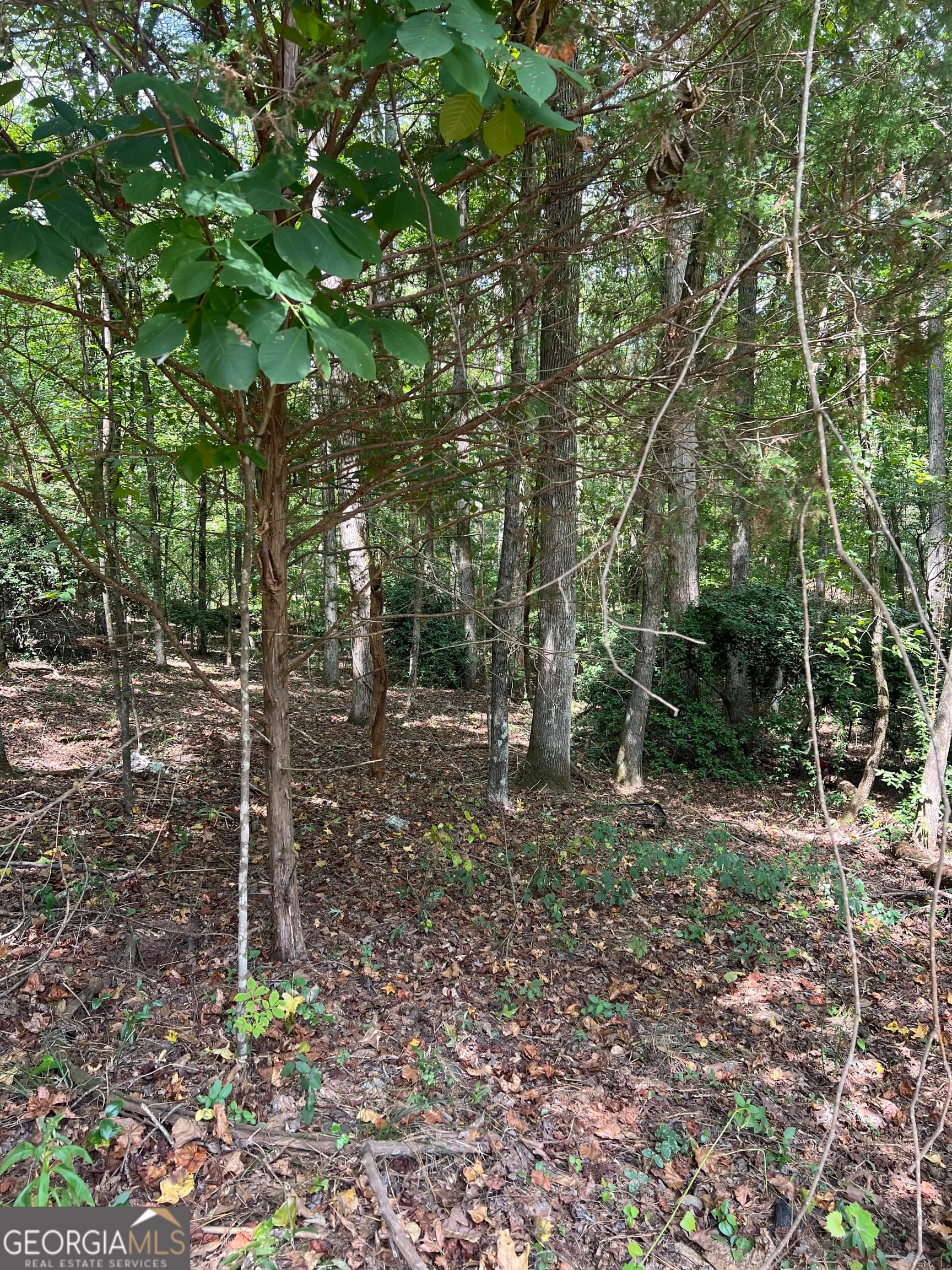 residential lot for sale at 0 Barouche Drive, Thomaston, GA 30286 — photo 3