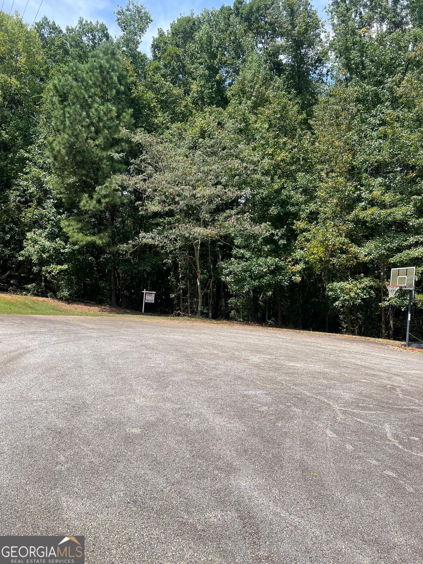 residential lot for sale at 0 Barouche Drive, Thomaston, GA 30286 — photo 1 of 6
