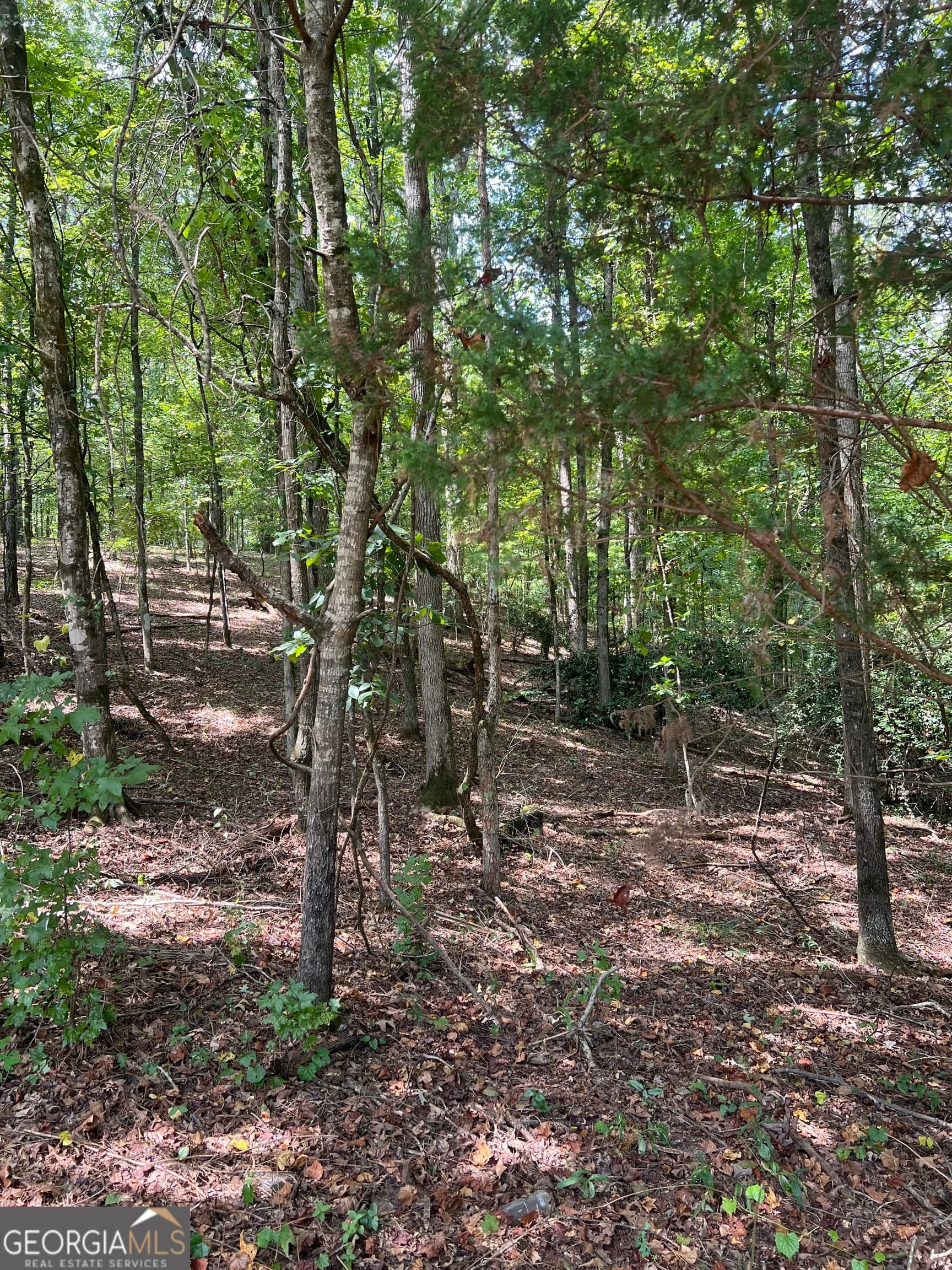 residential lot for sale at 0 Barouche Drive, Thomaston, GA 30286 — photo 5
