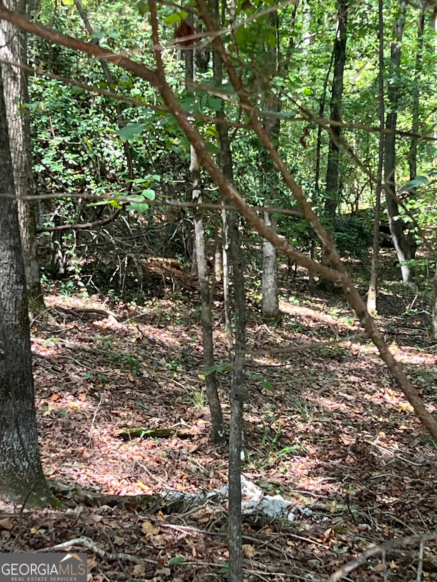 residential lot for sale at 0 Barouche Drive, Thomaston, GA 30286 — photo 4