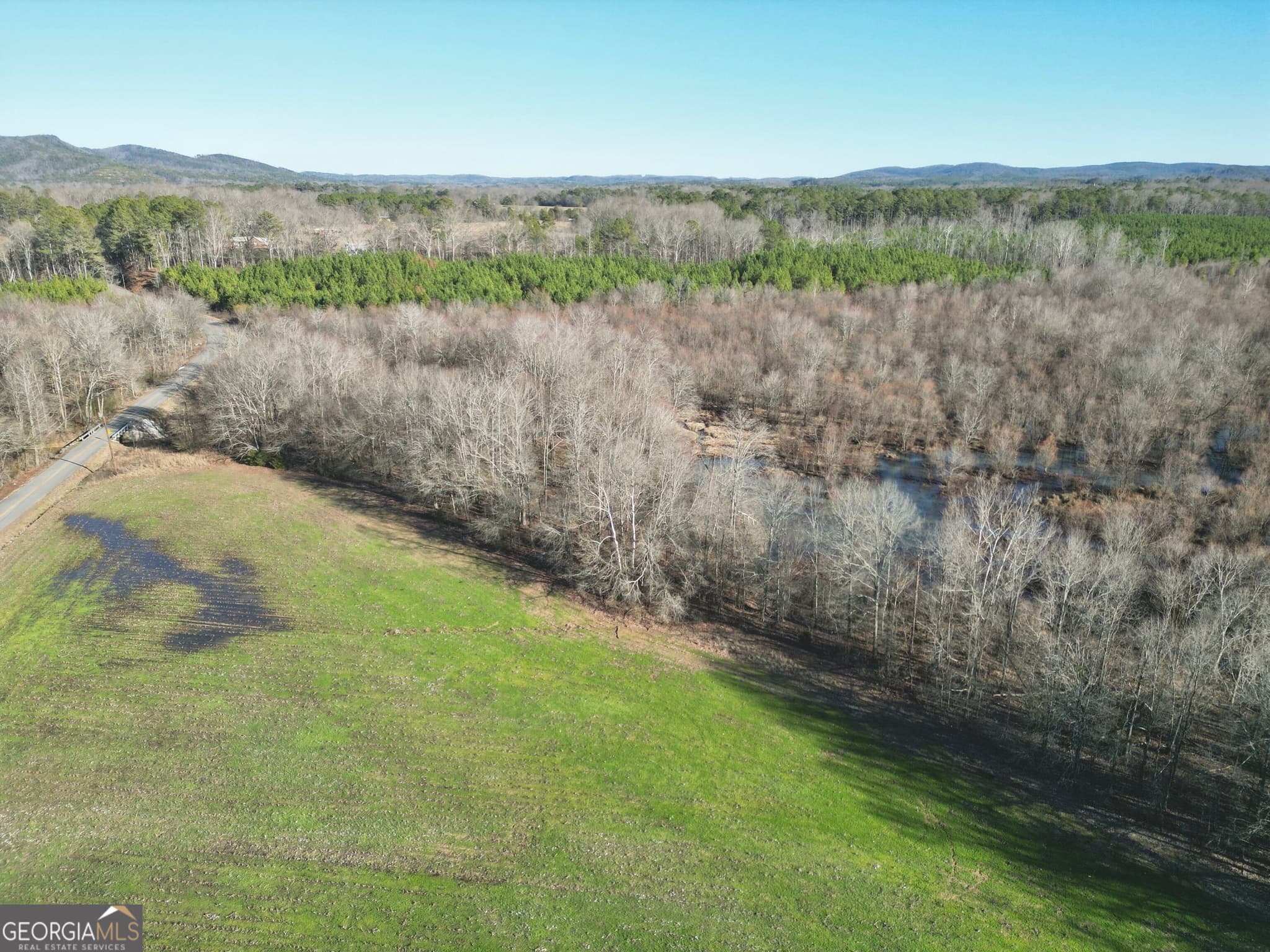 agriculture for sale at 0 Livingston Road, Rome, GA 30161 — photo 2