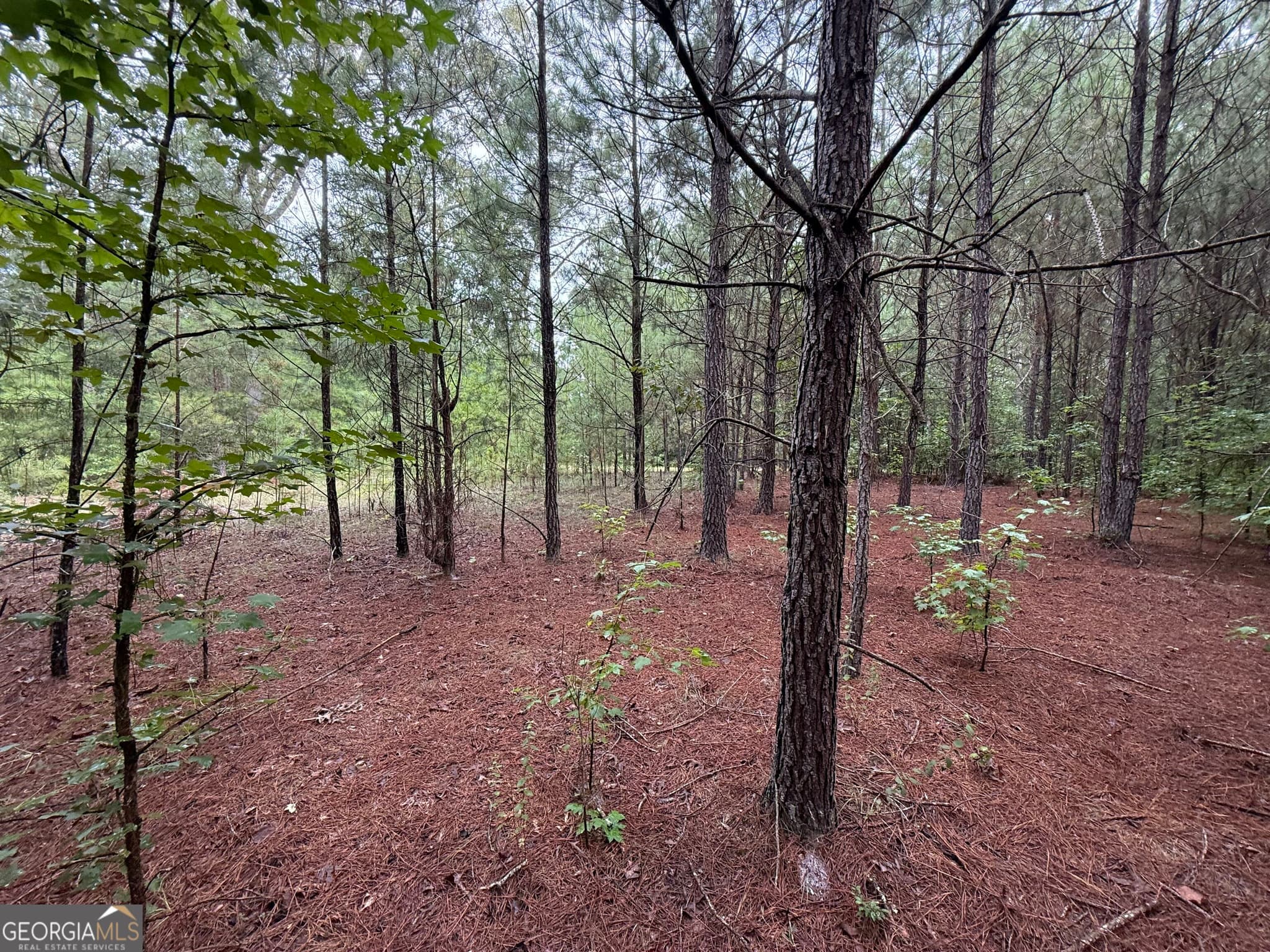 agriculture for sale at 0 Livingston Road, Rome, GA 30161 — photo 6