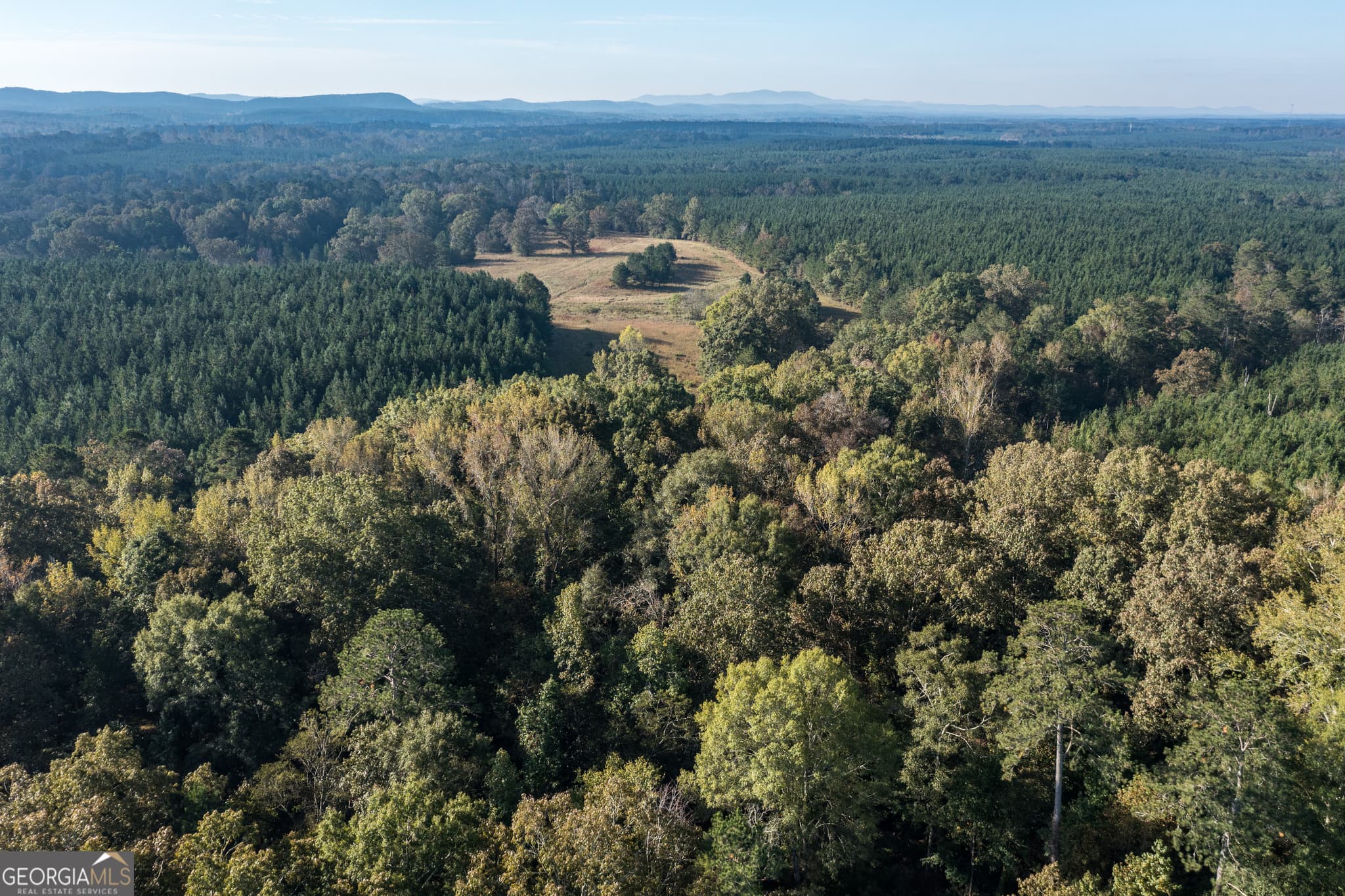 agriculture for sale at 0 Livingston Road, Rome, GA 30161 — photo 3