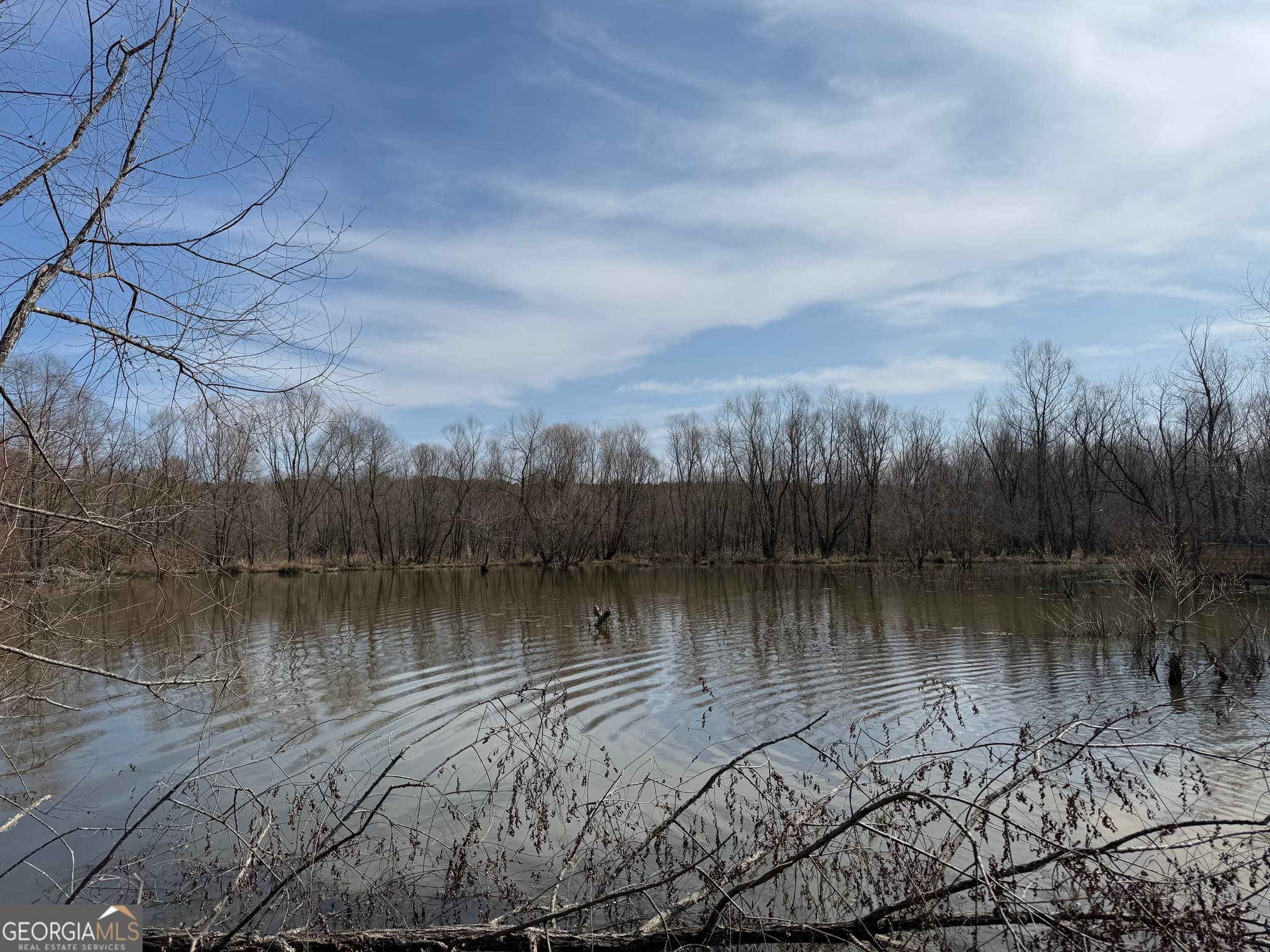 agriculture for sale at 0 Livingston Road, Rome, GA 30161 — photo 1 of 11