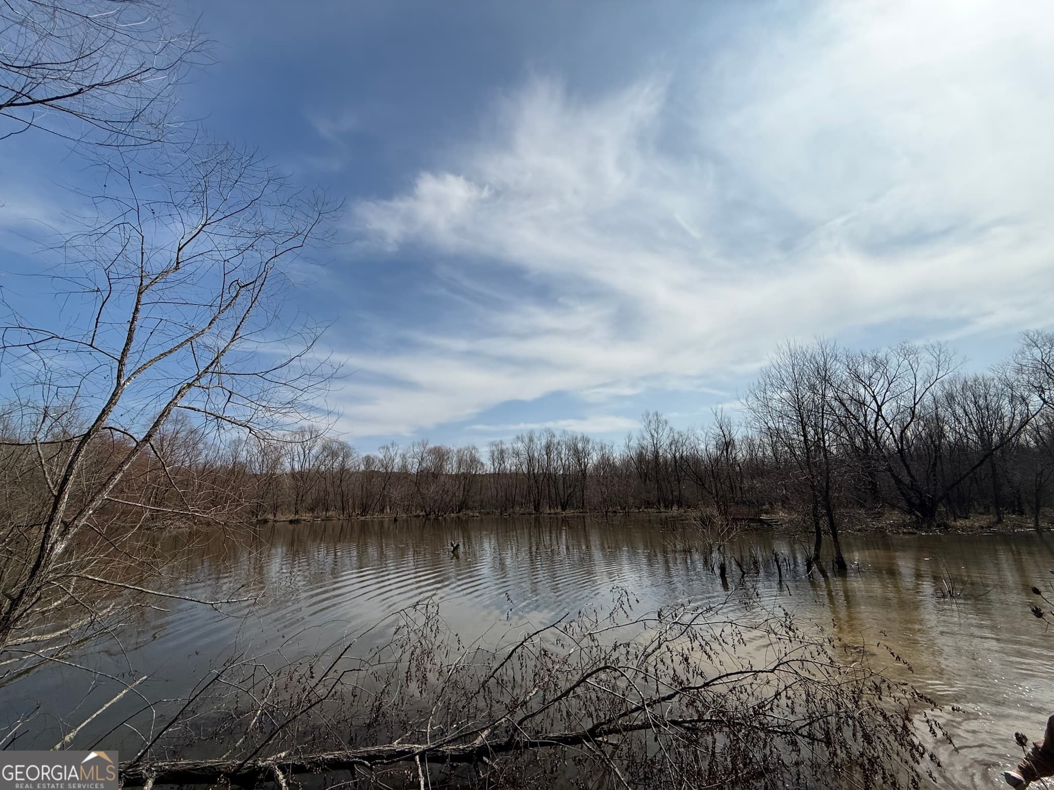 agriculture for sale at 0 Livingston Road, Rome, GA 30161 — photo 5