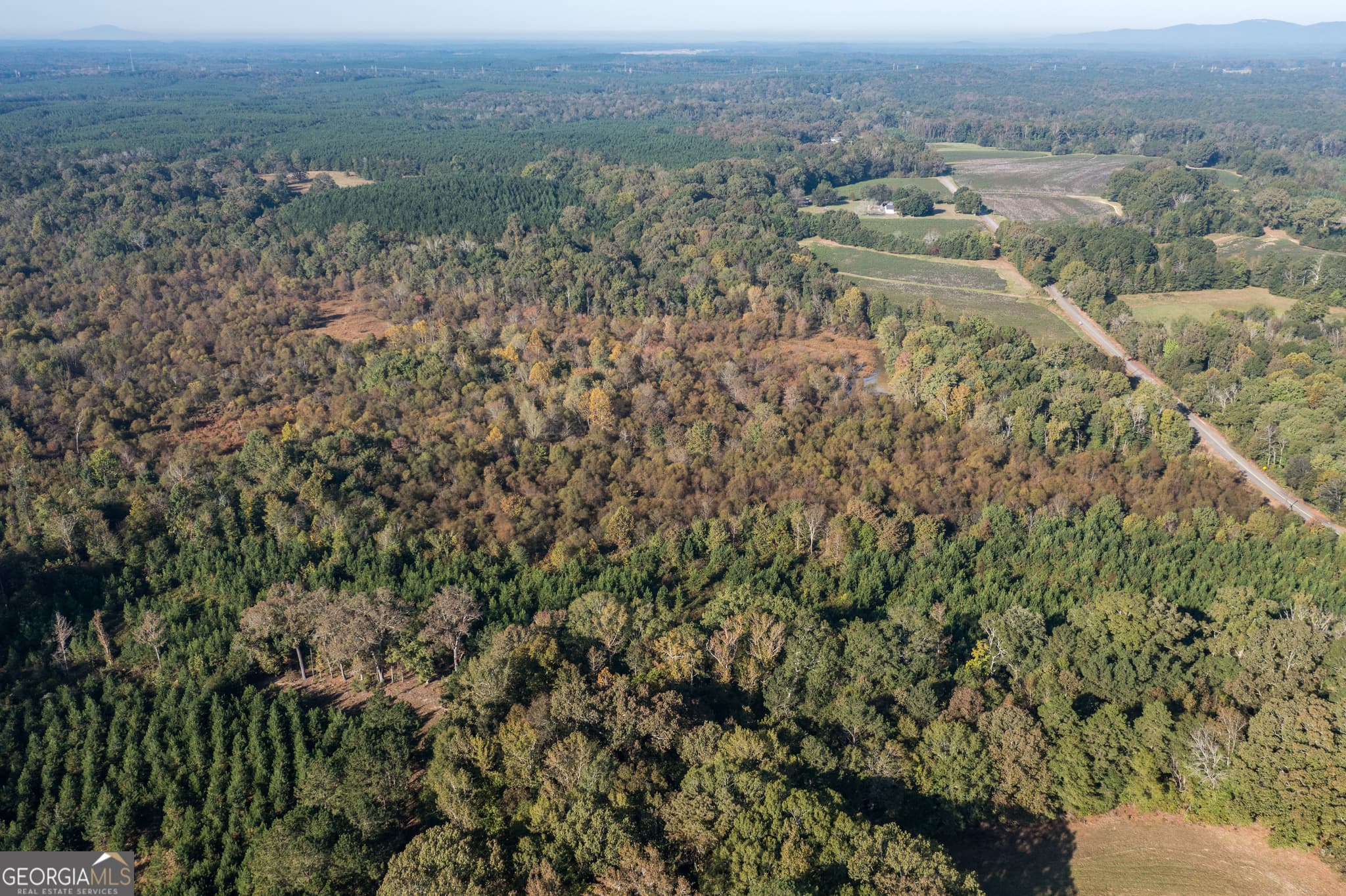 agriculture for sale at 0 Livingston Road, Rome, GA 30161 — photo 4