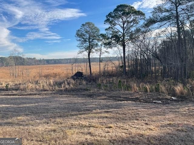 unimproved land for sale at 0 Hwy 301, Register, GA 30452 — photo 2