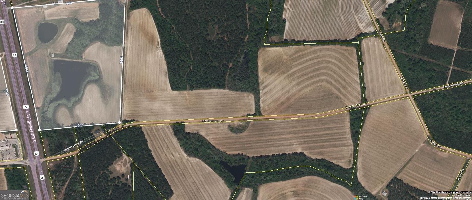 unimproved land for sale at 0 Hwy 301, Register, GA 30452