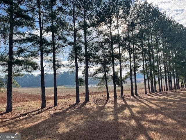 unimproved land for sale at 0 Hwy 301, Register, GA 30452 — photo 5