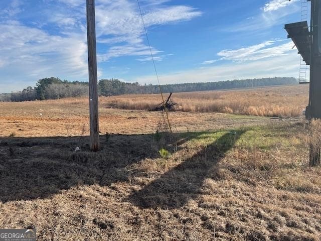 unimproved land for sale at 0 Hwy 301, Register, GA 30452 — photo 4