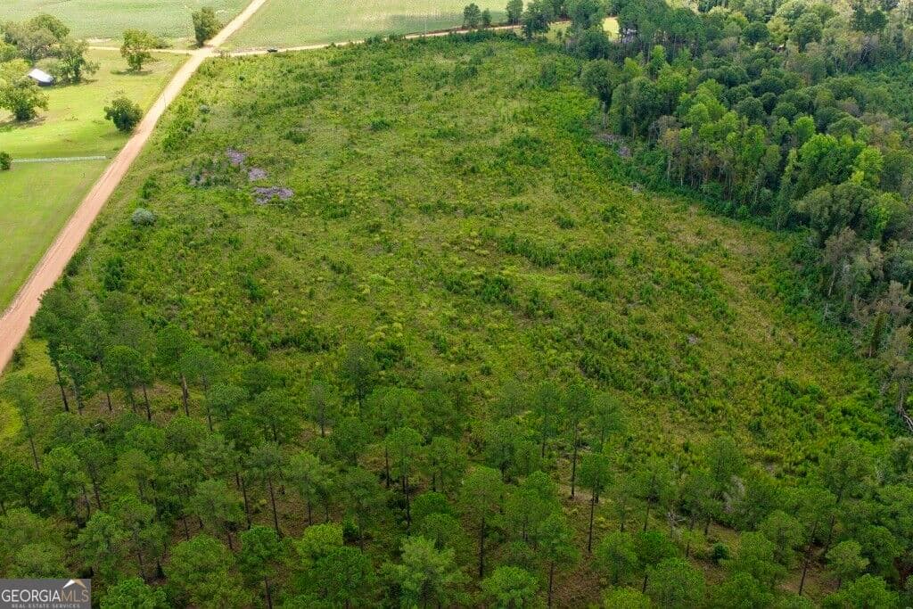 agriculture for sale at 0 Watson & Hendricks Roads TRACT 2, Metter, GA 30439 — photo 6