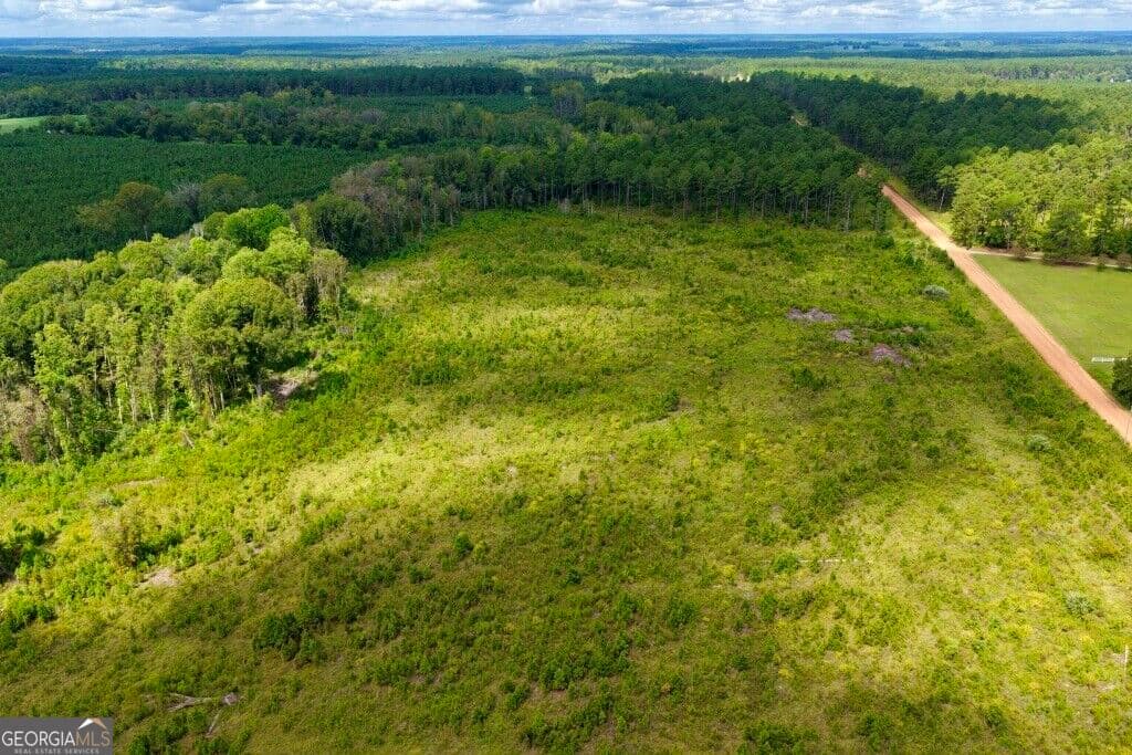 agriculture for sale at 0 Watson & Hendricks Roads TRACT 2, Metter, GA 30439 — photo 7