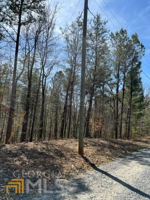 residential lot for sale at LT 3 Hunter Ridge, Ellijay, GA 30540 — photo 2