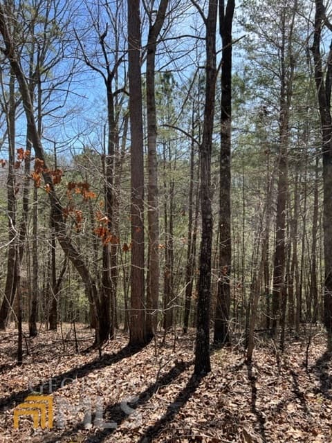 residential lot for sale at LT 3 Hunter Ridge, Ellijay, GA 30540 — photo 3