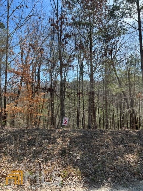 residential lot for sale at LT 3 Hunter Ridge, Ellijay, GA 30540 — photo 1 of 9