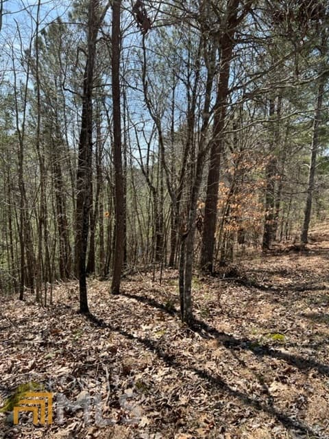 residential lot for sale at LT 3 Hunter Ridge, Ellijay, GA 30540 — photo 4