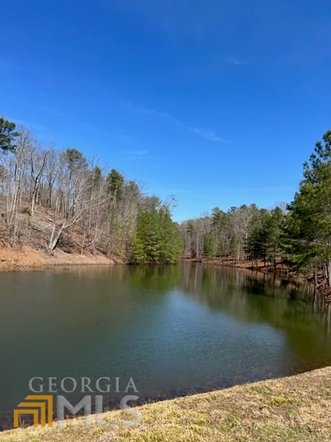residential lot for sale at LT 3 Hunter Ridge, Ellijay, GA 30540 — photo 8
