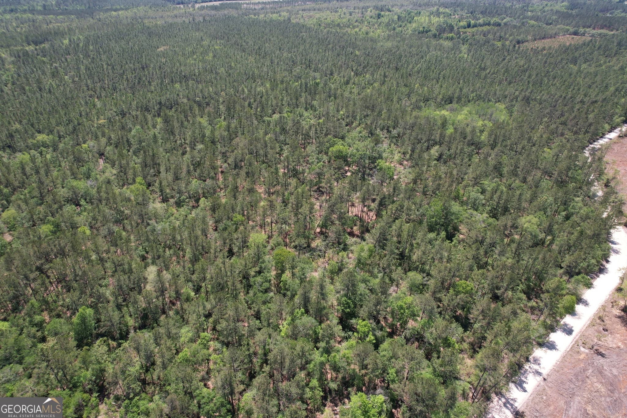 agriculture under contract at 0 Duncan Bridge Road, Millwood, GA 31552 — photo 2