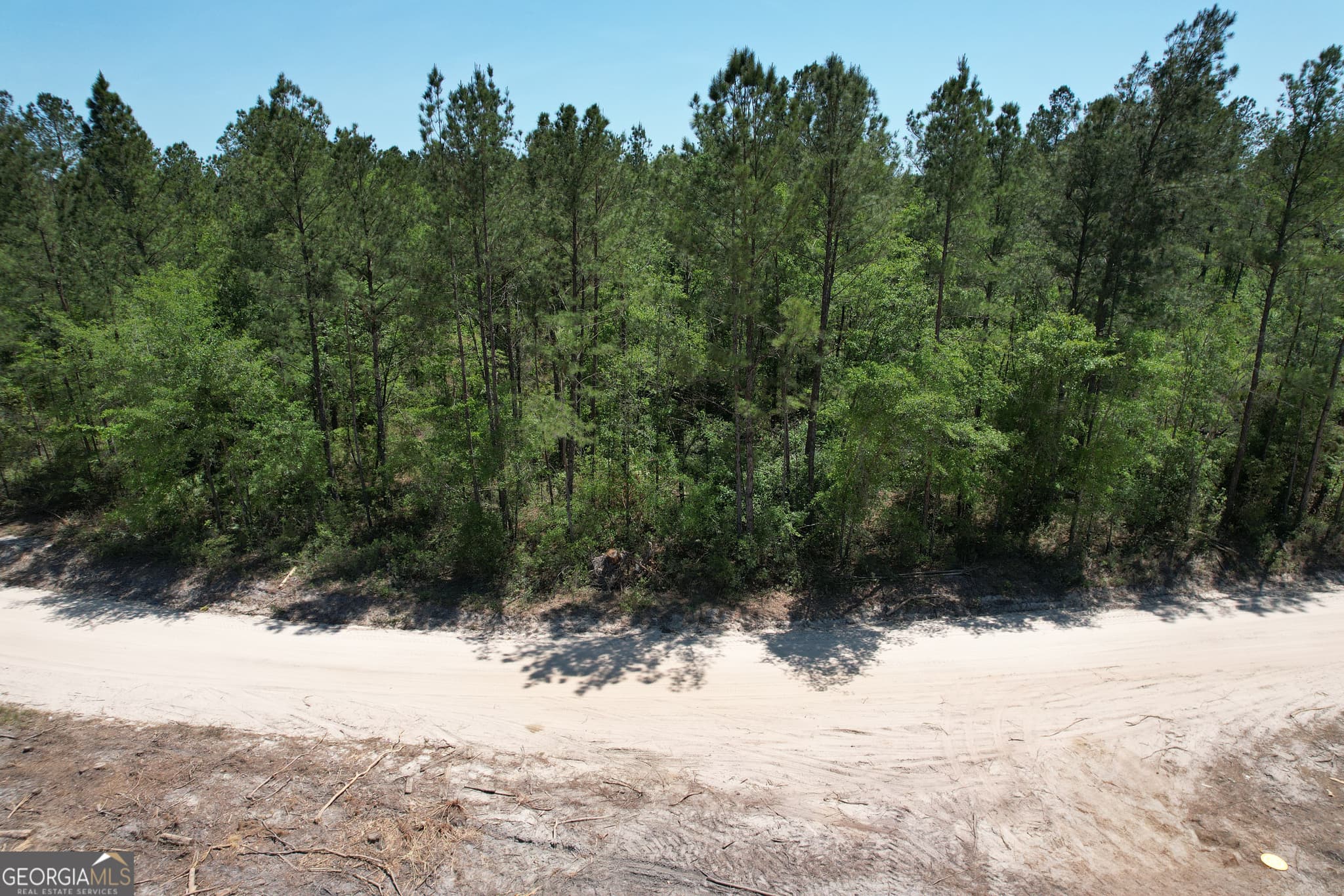 agriculture under contract at 0 Duncan Bridge Road, Millwood, GA 31552 — photo 6