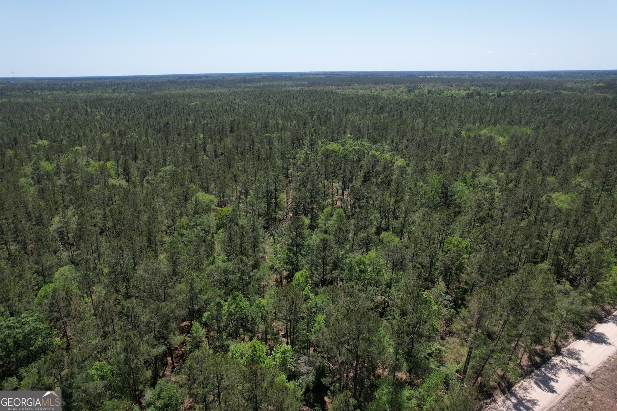agriculture under contract at 0 Duncan Bridge Road, Millwood, GA 31552 — photo 3