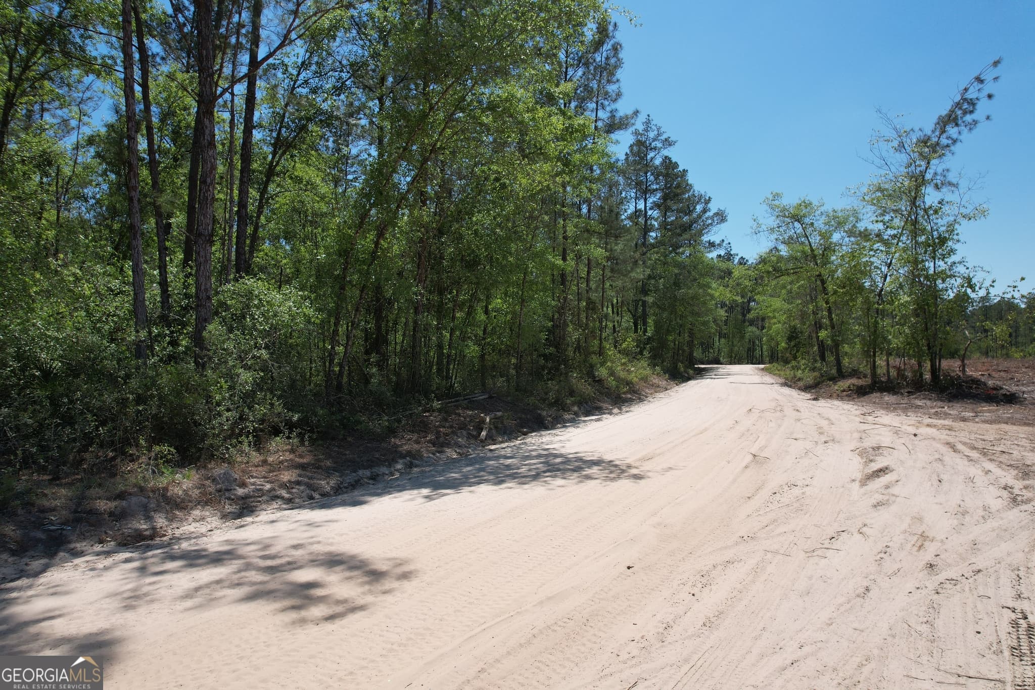 agriculture under contract at 0 Duncan Bridge Road, Millwood, GA 31552 — photo 5