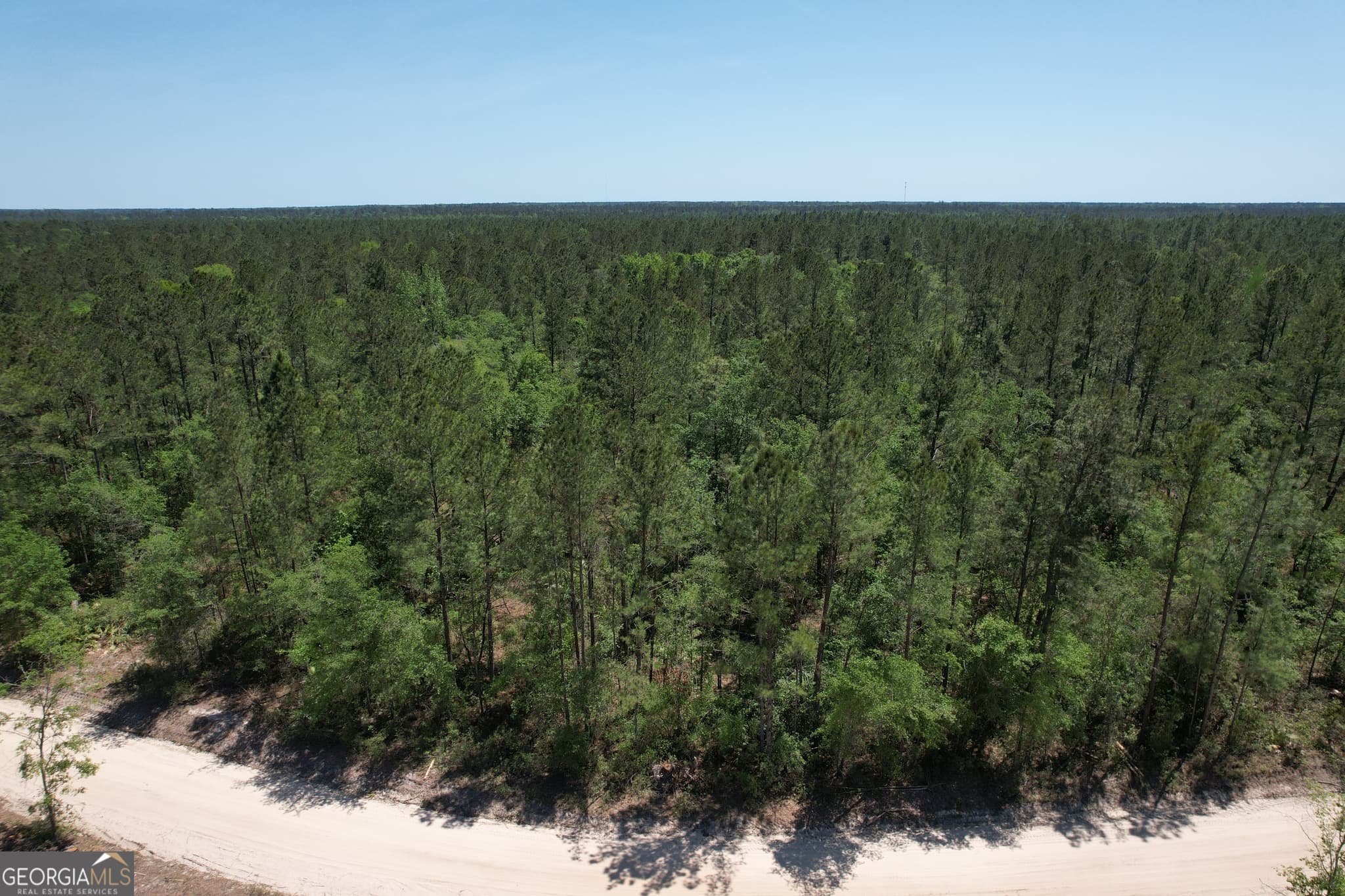 agriculture under contract at 0 Duncan Bridge Road, Millwood, GA 31552 — photo 4