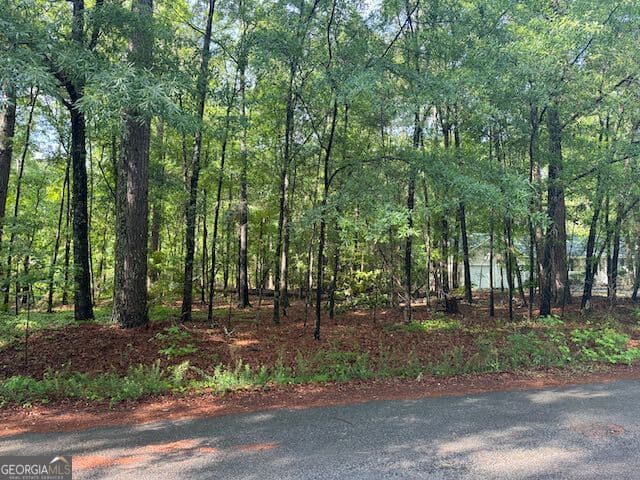 residential lot for sale at LOT 7 Winchester Way, Sandersville, GA 31082 — photo 2