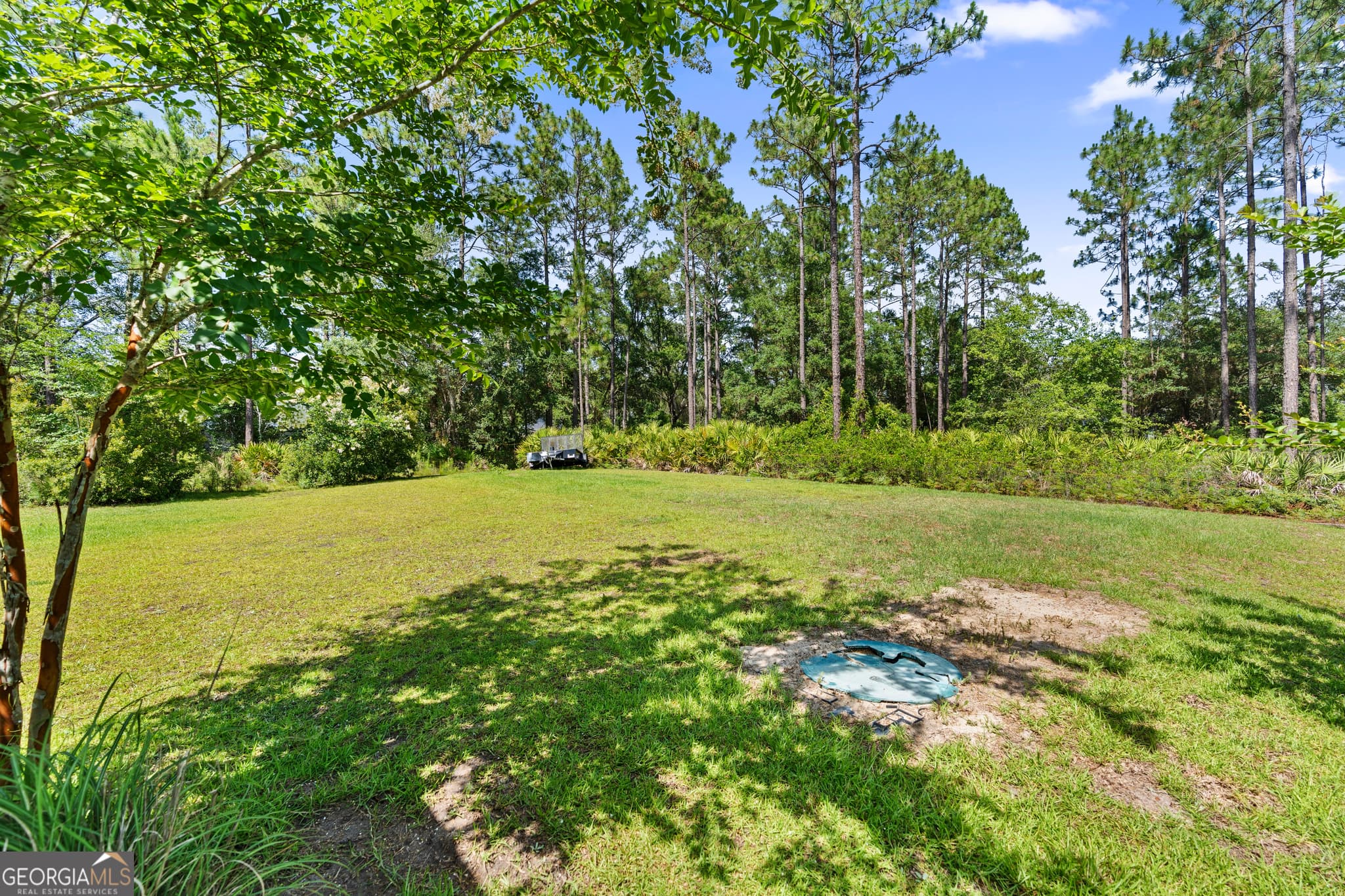 3 bedroom, 2 bathroom, 1,843 sq ft single family residence for sale at 13 N Eagle Drive, Jesup, GA 31546 — photo 7