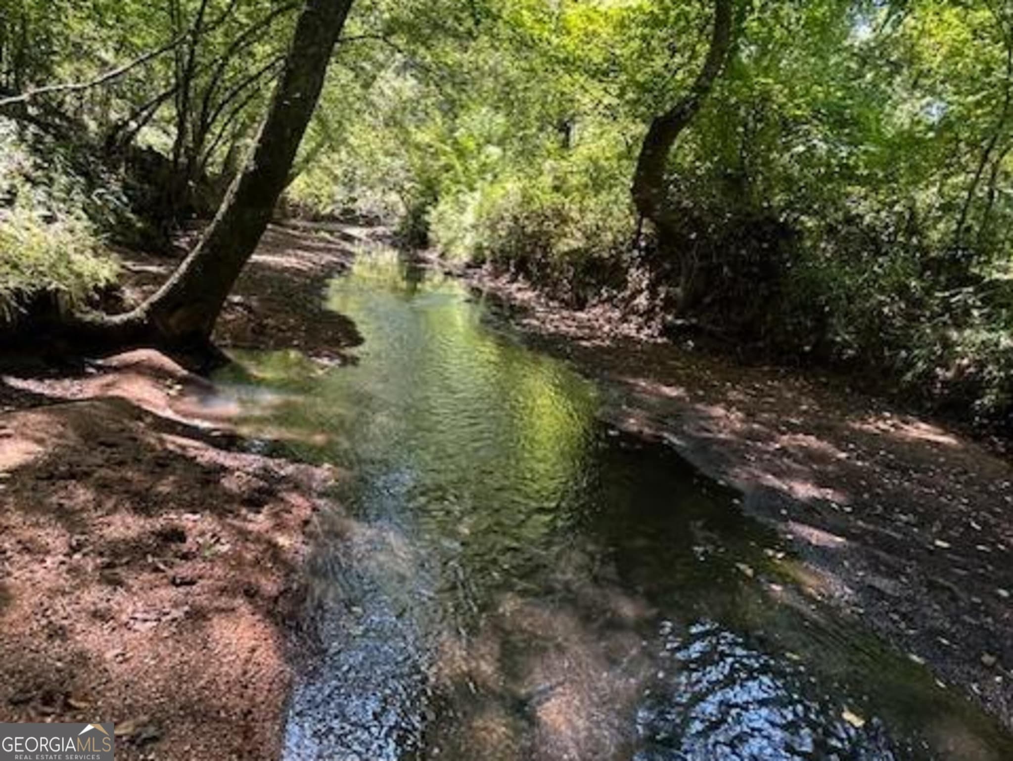agriculture for sale at 3312 Hunts Chapel Road, Sparta, GA 31087 — photo 7