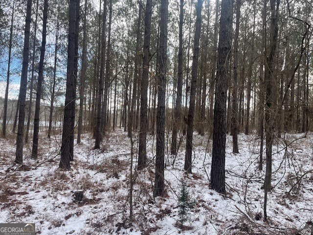 agriculture for sale at 3312 Hunts Chapel Road, Sparta, GA 31087 — photo 8