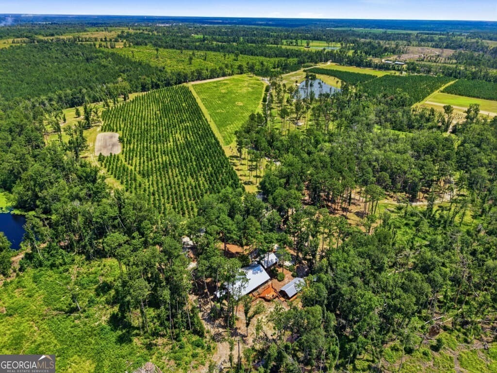 residential lot for sale at 1370 Ga Highway 56, Mount Vernon, GA 30445 — photo 2