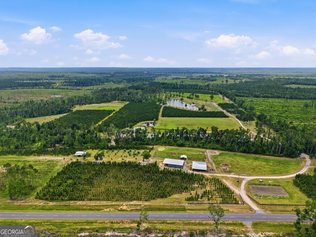 residential lot for sale at 1370 Ga Highway 56, Mount Vernon, GA 30445 — photo 3