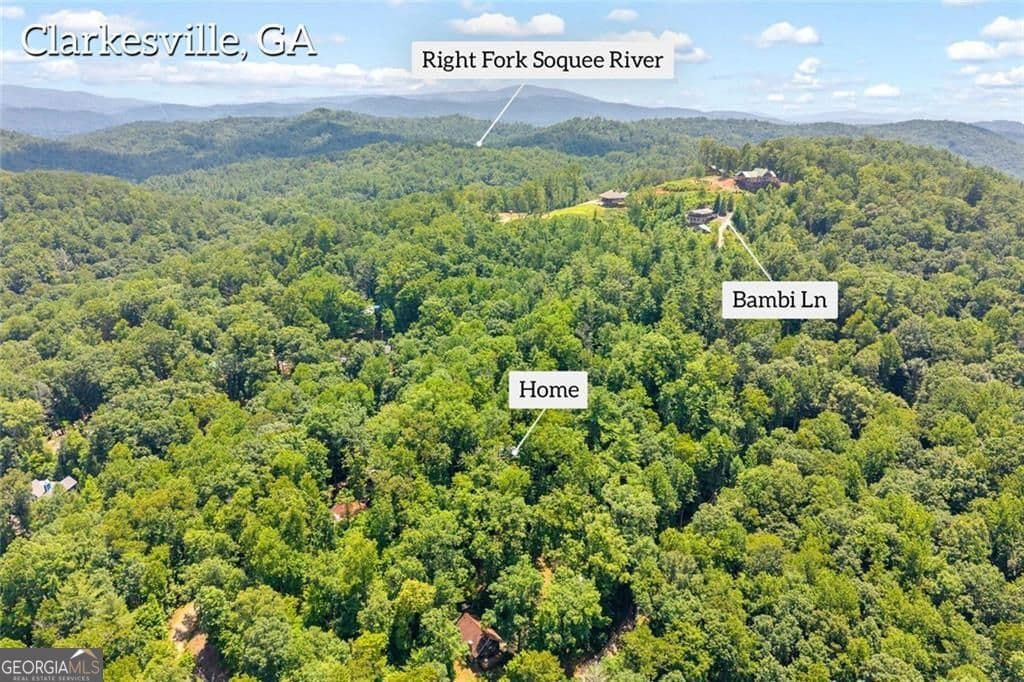 2 bedroom, 2 bathroom, 1,486 sq ft single family residence for sale at 185 Pope Dickson Lane, Clarkesville, GA 30523 — photo 3