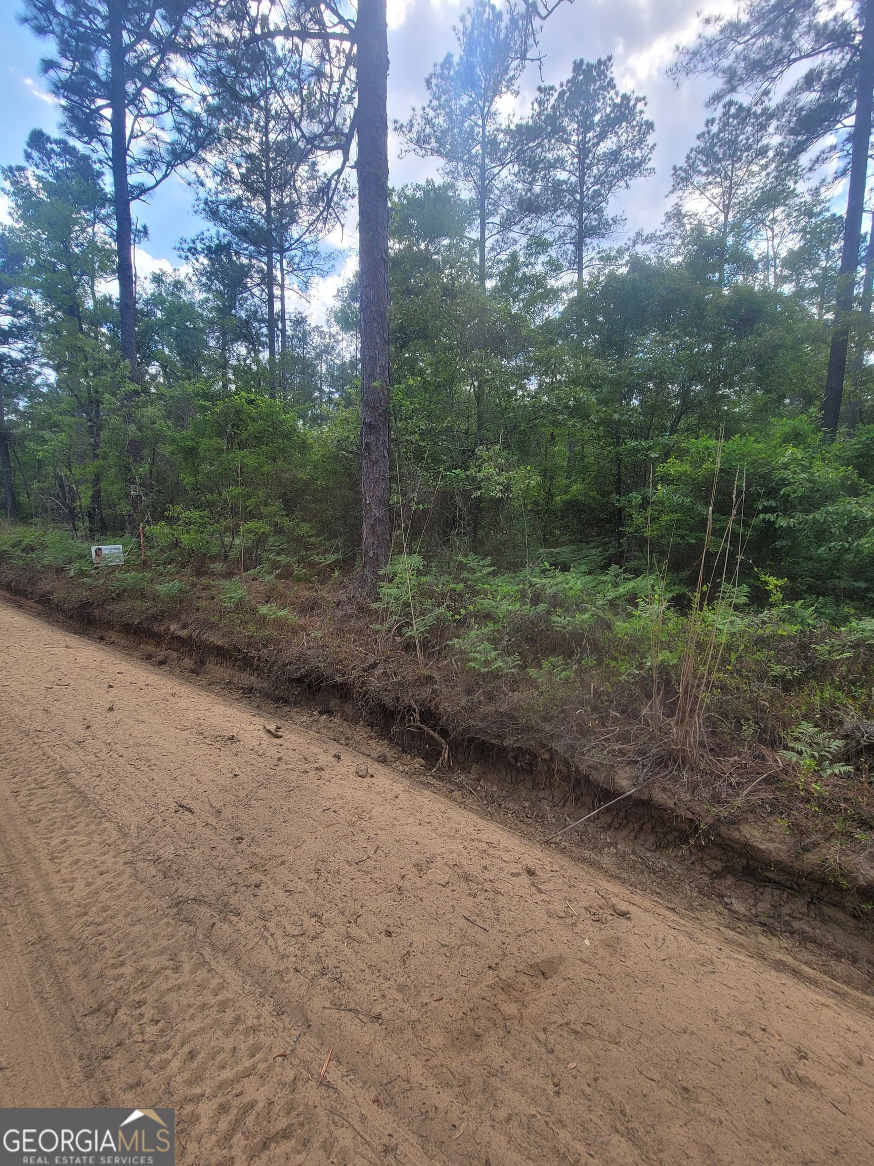 agriculture for sale at 0 Busby Road, Statesboro, GA 30461 — photo 2