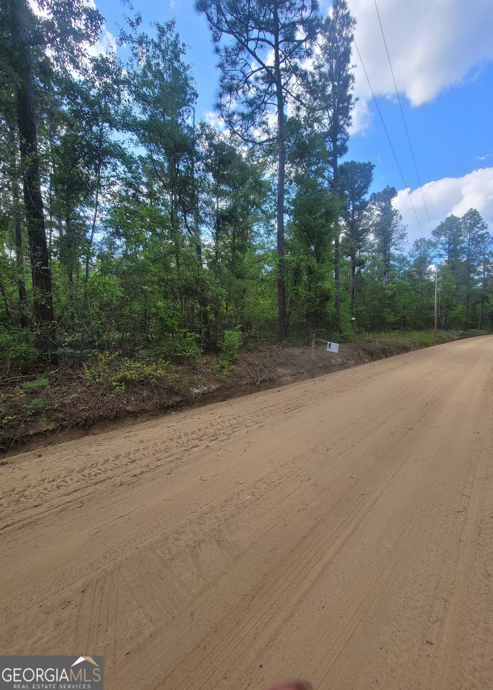 agriculture for sale at 0 Busby Road, Statesboro, GA 30461 — photo 3