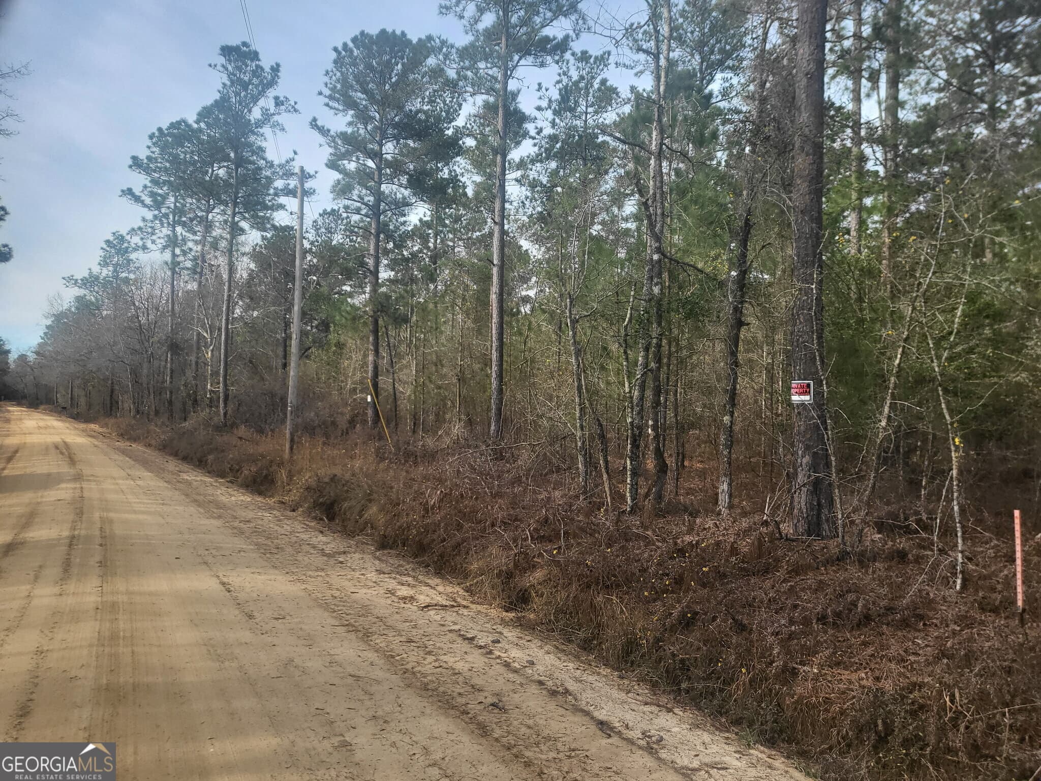 agriculture for sale at 0 Busby Road, Statesboro, GA 30461 — photo 5
