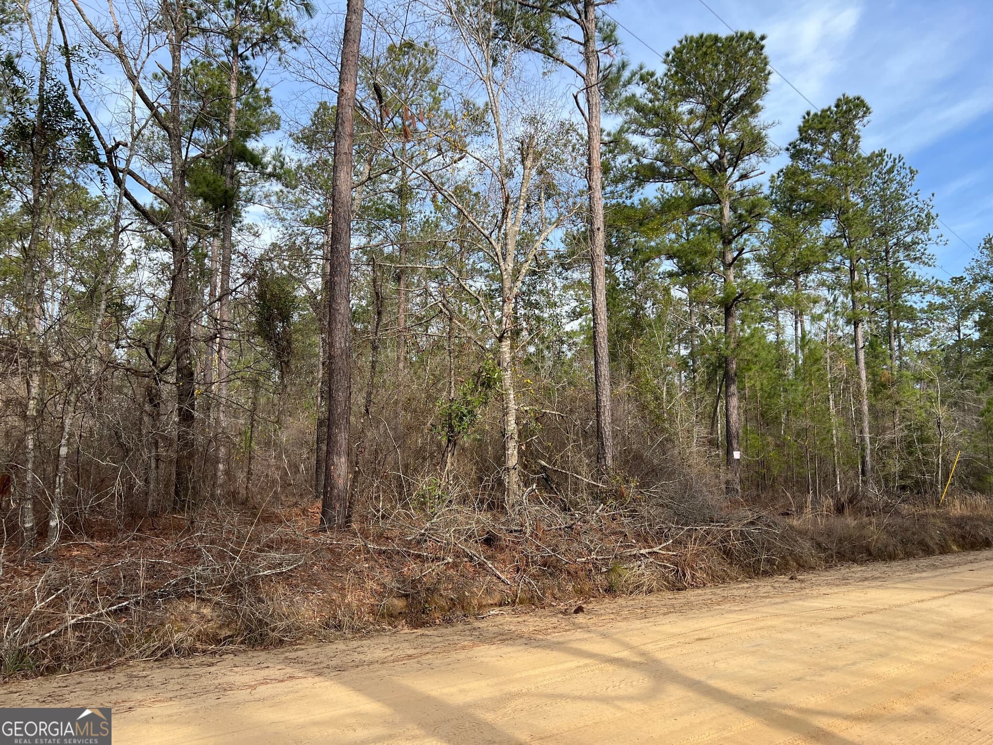 agriculture for sale at 0 Busby Road, Statesboro, GA 30461 — photo 4
