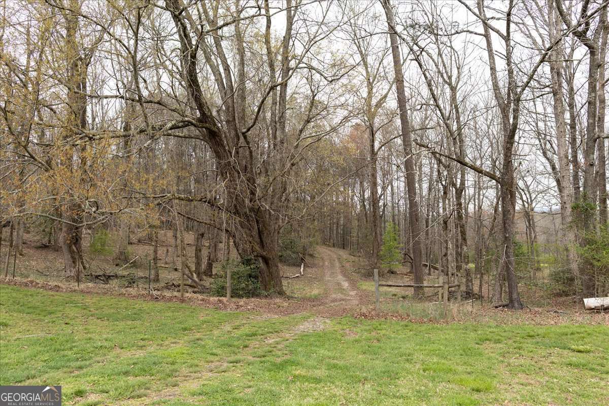 unimproved land for sale at 0 Reagan Road, Dawsonville, GA 30534 — photo 2
