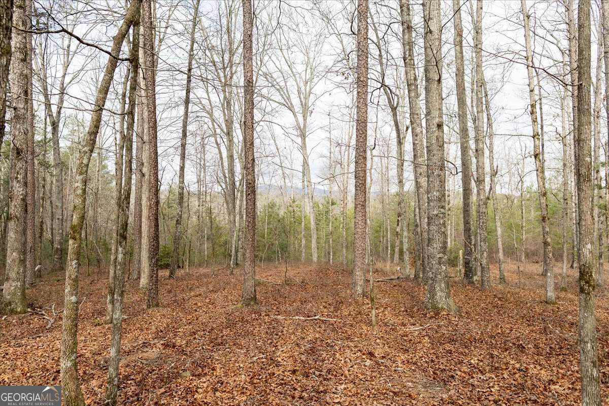 unimproved land for sale at 0 Reagan Road, Dawsonville, GA 30534 — photo 6