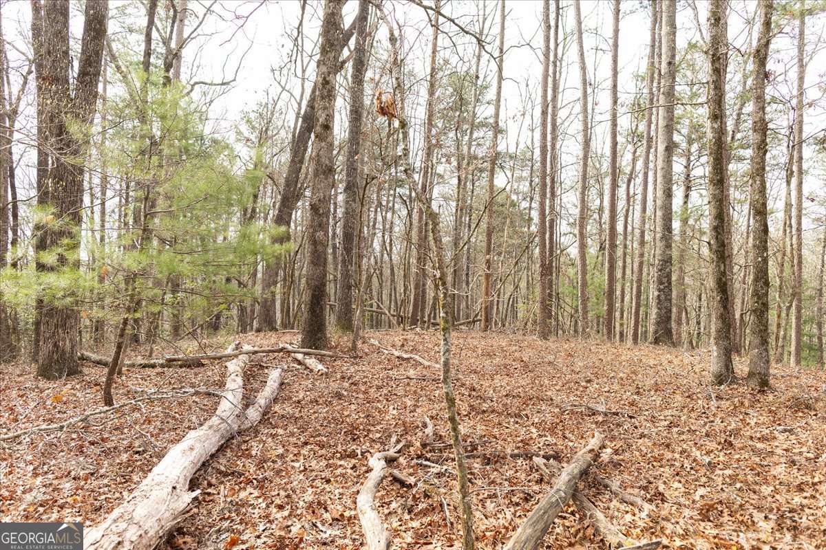 unimproved land for sale at 0 Reagan Road, Dawsonville, GA 30534 — photo 7